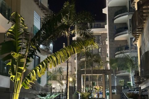 2 rooms Apartment in Chau Lang, Vietnam No. 85203 26