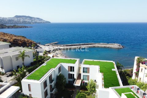 1 dormitorio Apartment en Phi Dien, Vietnam No. 61904 9