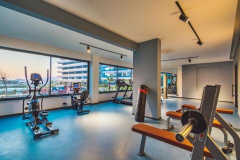 3 rooms Apartment in Chau Lang, Vietnam No. 20627 23