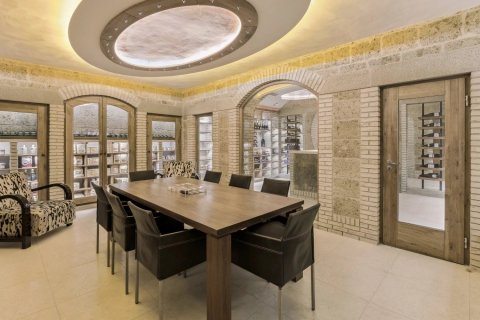 Вилла с 7 спальнями в Грас, Франция №99776 6