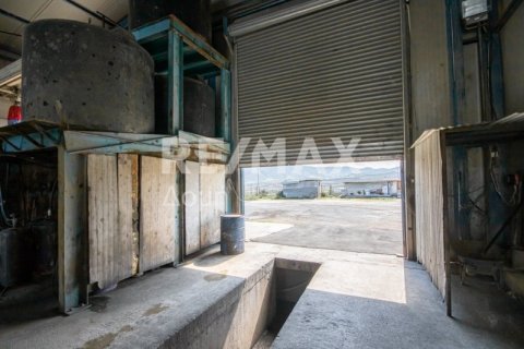 Здание с 2 спальнями в Магнисия, Греция №104639 16