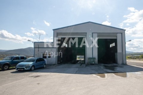 Здание с 2 спальнями в Магнисия, Греция №104639 5