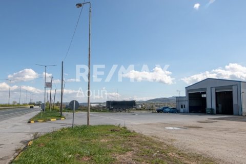 Здание с 2 спальнями в Магнисия, Греция №104639 22