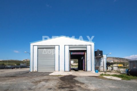 Здание с 2 спальнями в Магнисия, Греция №104639 4