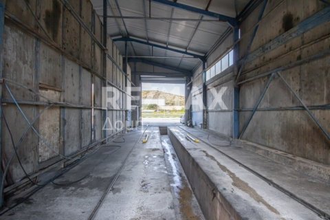 Здание с 2 спальнями в Магнисия, Греция №104639 12