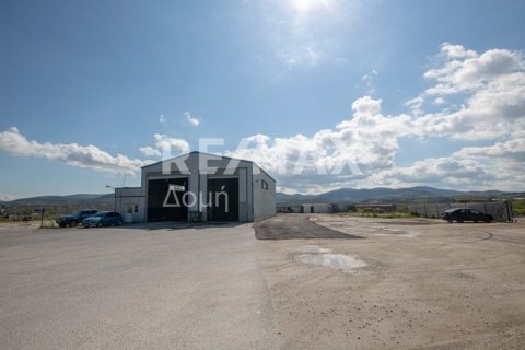 Здание с 2 спальнями в Магнисия, Греция №104639 7