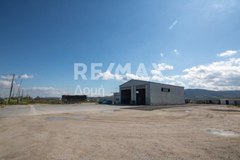 Здание с 2 спальнями в Магнисия, Греция №104639 24