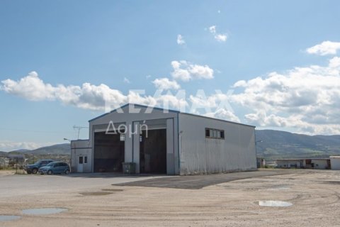 Здание с 2 спальнями в Магнисия, Греция №104639 2