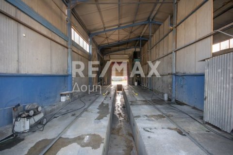 Здание с 2 спальнями в Магнисия, Греция №104639 9