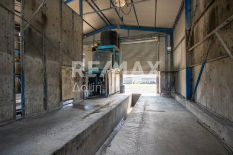 Здание с 2 спальнями в Магнисия, Греция №104639 14