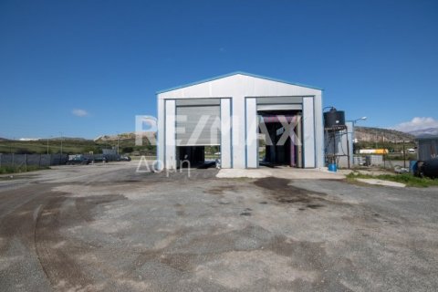 Здание с 2 спальнями в Магнисия, Греция №104639 6