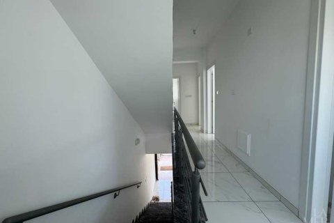 Вилла с 3 спальнями в Айя Напа, Кипр №77959 16