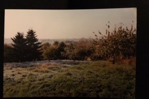 3 bedrooms Bar in Badecon-le-Pin, France No. 69467 12