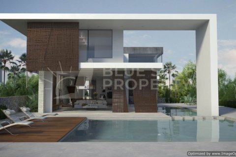 4 bedrooms Villa in Ayia Napa, Cyprus No. 64951 12