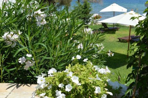 19 bedrooms Hotel in Zakynthos, Greece No. 24768 16