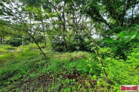15766m² Land in Krabi, Thailand No. 97203 7