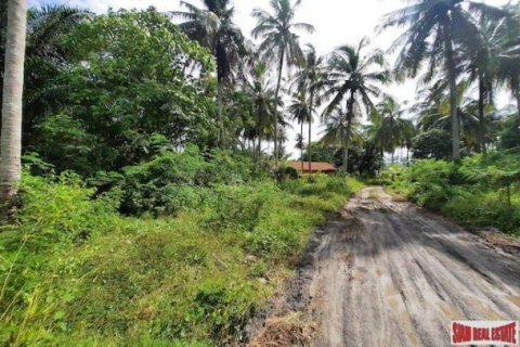 15766m² Land in Krabi, Thailand No. 97203 3