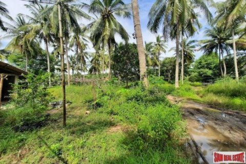 15766m² Land in Krabi, Thailand No. 97203 2