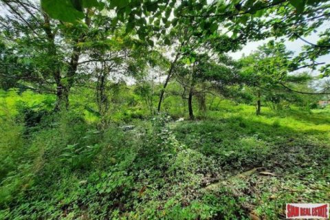 15766m² Land in Krabi, Thailand No. 97203 9