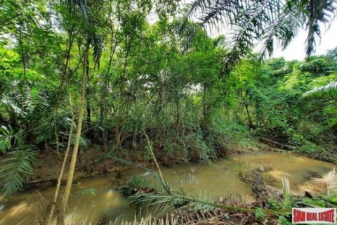 15766m² Land in Krabi, Thailand No. 97203 13