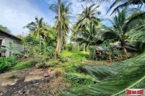 15766m² Land in Krabi, Thailand No. 97203 8
