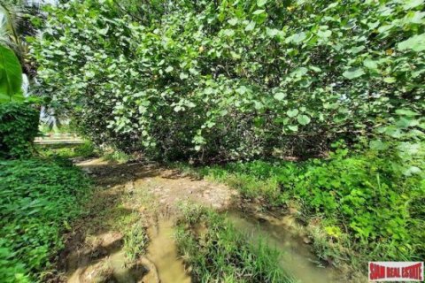 15766m² Land in Krabi, Thailand No. 97203 14