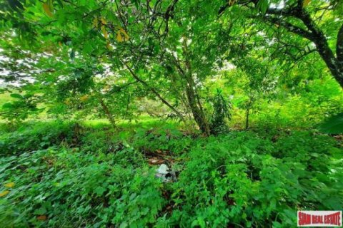 15766m² Land in Krabi, Thailand No. 97203 5