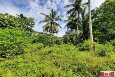 15766m² Land in Krabi, Thailand No. 97203 6