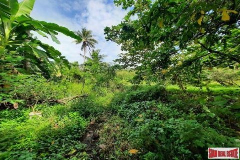 15766m² Land in Krabi, Thailand No. 97203 4