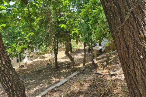 3 dormitorios Land en Zakynthos, Greece No. 24619 10