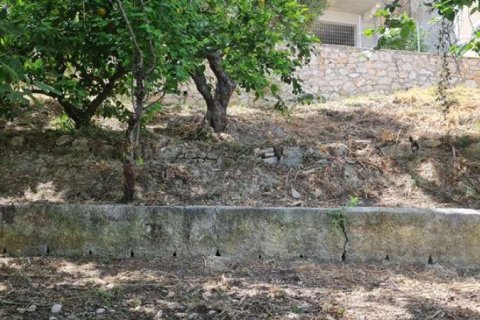 3 dormitorios Land en Zakynthos, Greece No. 24619 3