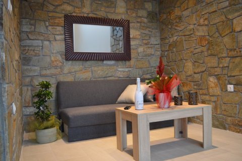 Отель, гостиница 280м² в Халкидики, Греция №57674 21