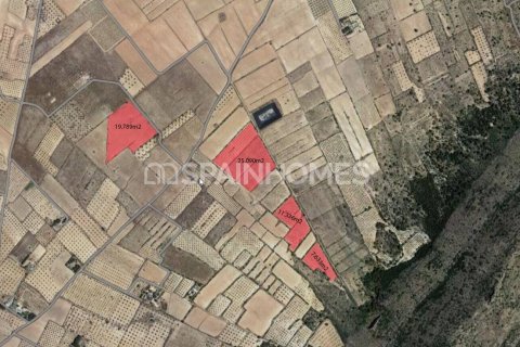 5 bedrooms Villa in Dan Ly, Vietnam No. 25895 2