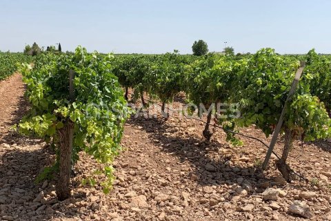 5 bedrooms Villa in Dan Ly, Vietnam No. 25895 18