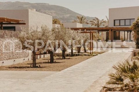 5 chambres Villa à Yecla, Spain No. 25895