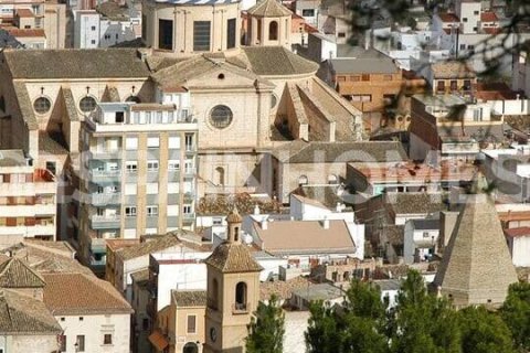 5 bedrooms Villa in Dan Ly, Vietnam No. 25895 21