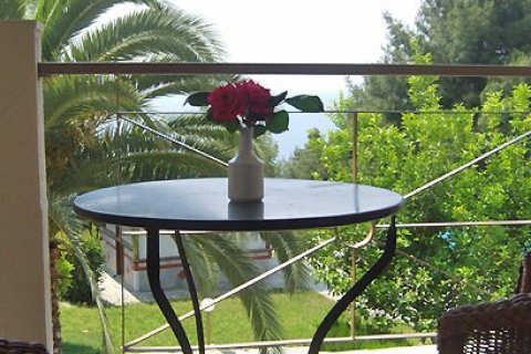 Отель, гостиница с 39 комнатами в Халкидики, Греция №60661 6