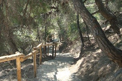 Отель, гостиница с 39 комнатами в Халкидики, Греция №60661 13