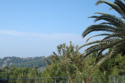 Отель, гостиница с 39 комнатами в Халкидики, Греция №60661 12