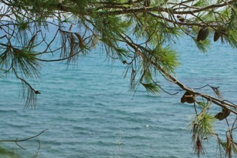 Отель, гостиница с 39 комнатами в Халкидики, Греция №60661 14