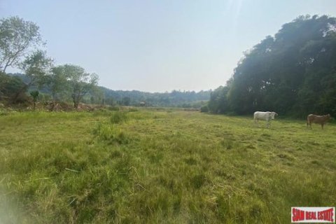 7200m² Land in Phuket, Thailand No. 95722 8