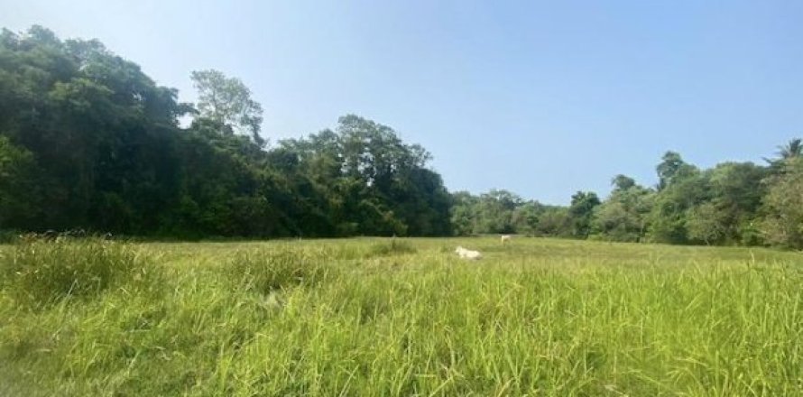 7200m² Land on the Phuket, Thailand No. 95722