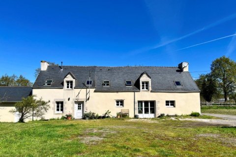 8 bedrooms House in Pleugriffet, France No. 69436 1