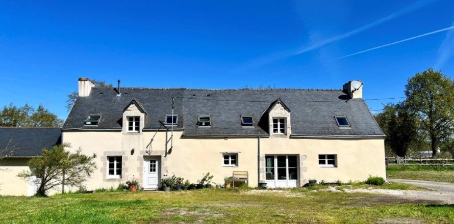 8 bedrooms House in Pleugriffet, France No. 69436