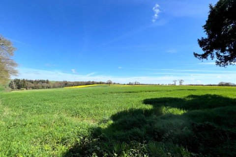 8 bedrooms House in Pleugriffet, France No. 69436 25