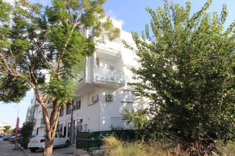 7 bedrooms Villa in Tan Xuan, Vietnam No. 14927 3