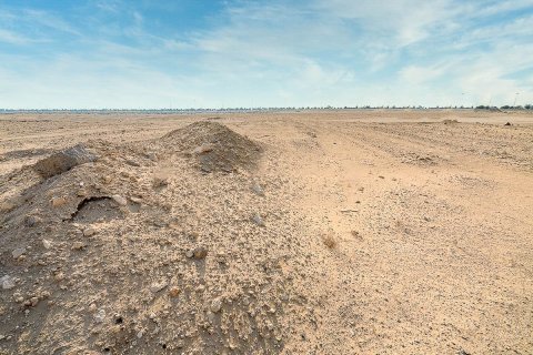 2392m² Land in Yen Son, Vietnam No. 95453 16