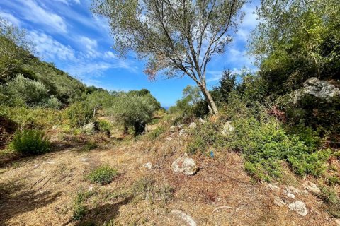 4162m² Land in Corfu, Greece No. 110041 14