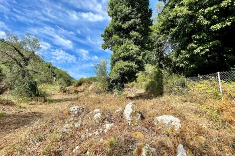 4162m² Land in Corfu, Greece No. 110041 8