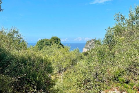 4162m² Land in Corfu, Greece No. 110041